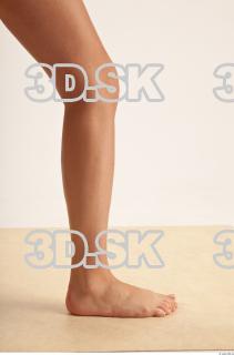 Leg reference of Terezia 0008